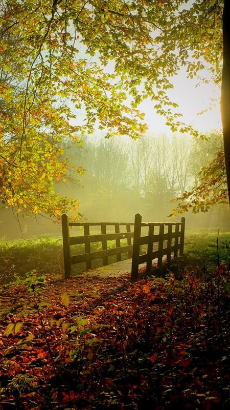Nature Autumn Wallpaper
