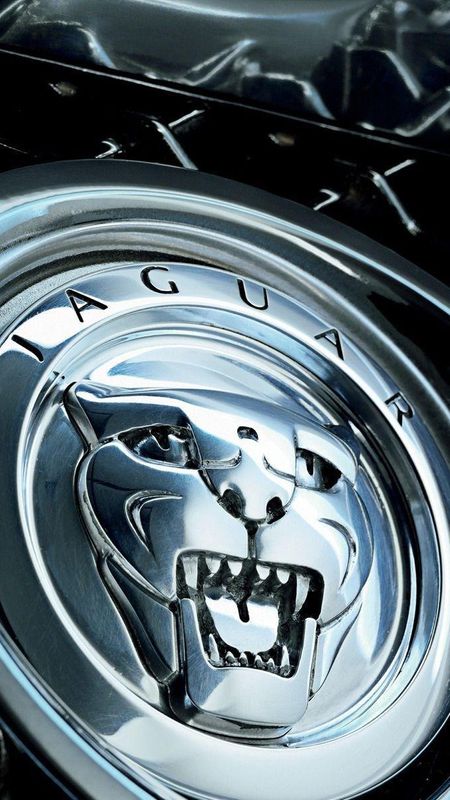 Jaguar Car Logo Wallpaper Download  MobCup