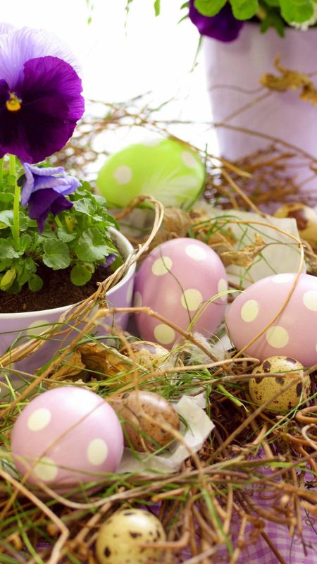 Easter | Light Pink Wallpaper Download | MobCup