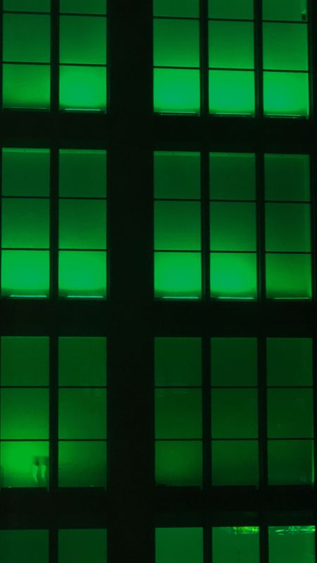 Fluorescent Green Wallpapers - Top Free Fluorescent Green Backgrounds -  WallpaperAccess