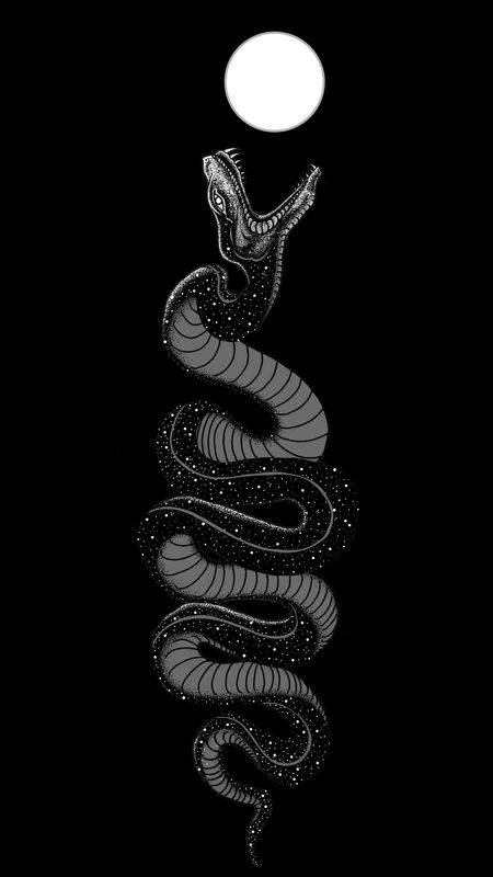 Aesthetic Black Snake Wallpaper Download | MobCup