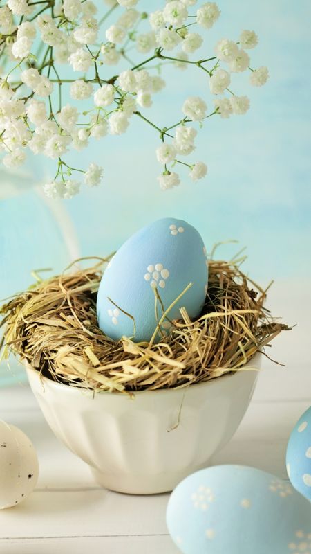 Free Photo  Easter invitation with eggs and daisies on a blue background  with copy space