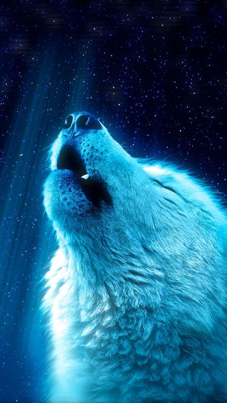 White Wolf Howl Wallpaper