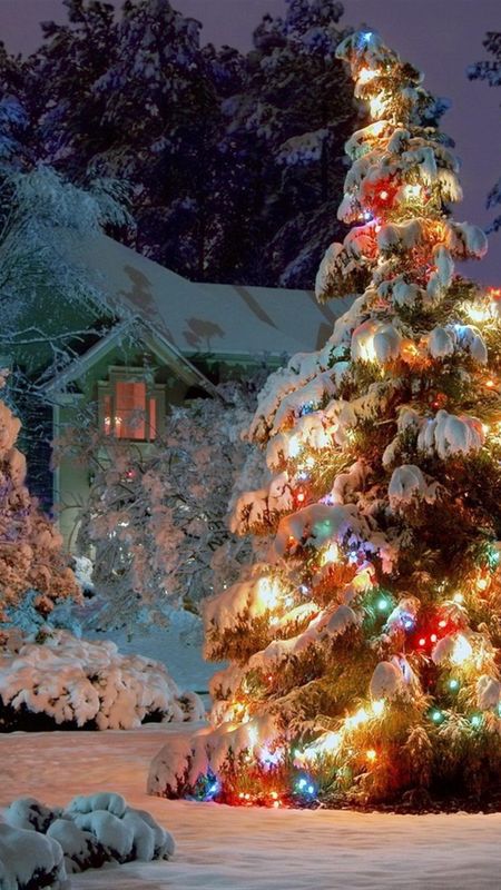 Free Christmas | Christmas | Tree Wallpaper Download | MobCup
