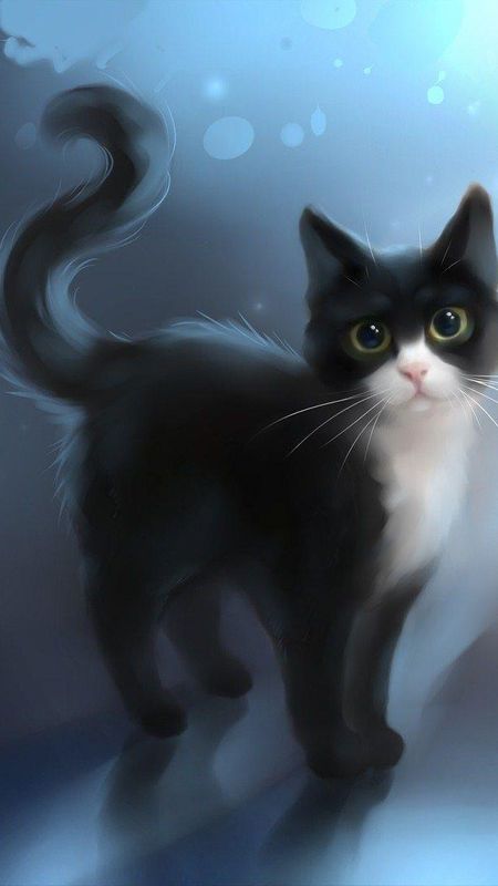 Black white cat Wallpaper Download | MobCup