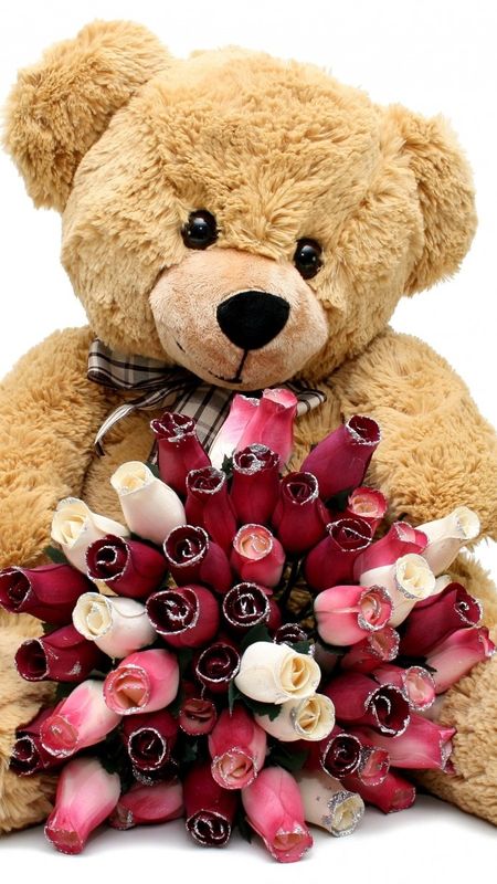 Teddy Bear Ke - Roses - Teddy Bear Wallpaper Download | MobCup