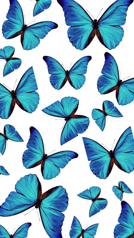 blue butterfly backgrounds