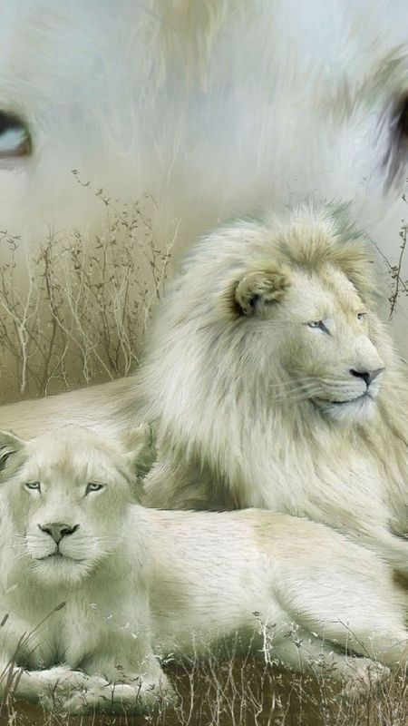 White Lion - Creative Painting Wallpaper Download | MobCup