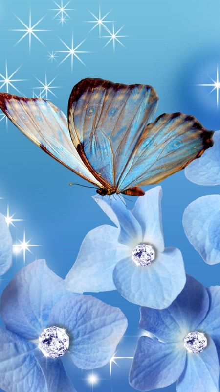 Blue Flowers - Butterfly - Flower Pattern Wallpaper Download | MobCup