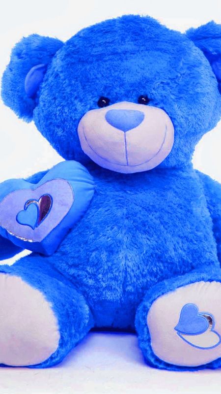 bade wale teddy bear