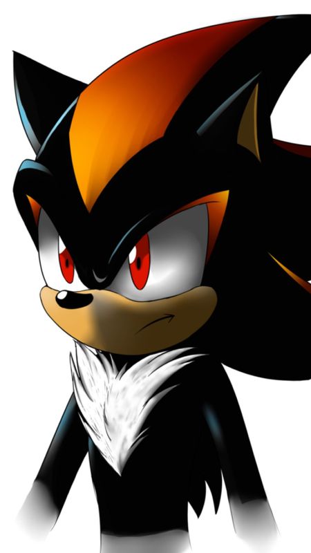 Sonic and Shadow by TheDmgirl silver sonic HD phone wallpaper  Pxfuel