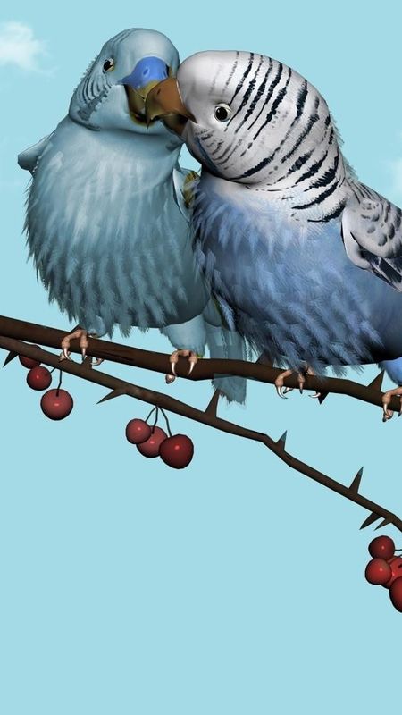Love Birds - Anime - Digital Art Wallpaper Download | MobCup