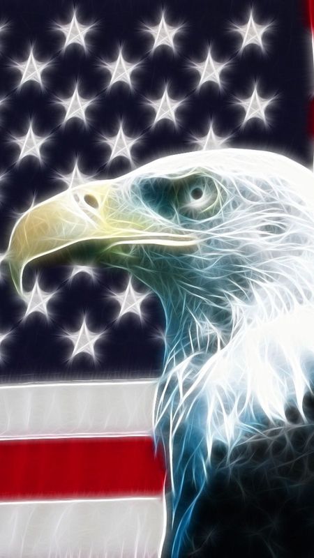 HD wallpaper american flag eagle united states usa  Wallpaper Flare