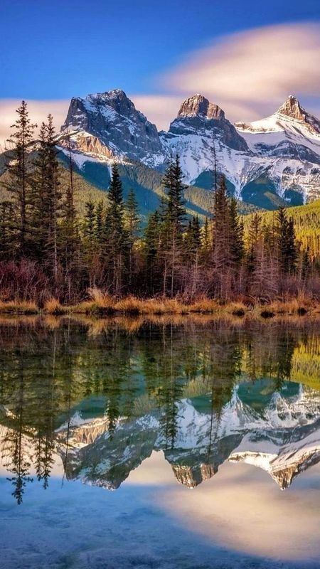 Nature | Nature Scenery Wallpaper Download | MobCup