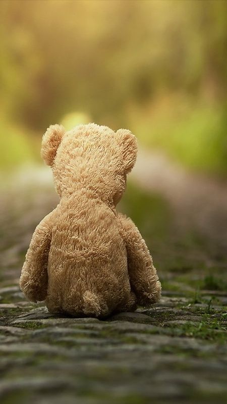 Cute Teddy Bear - Alone - Sitting Wallpaper Download | MobCup