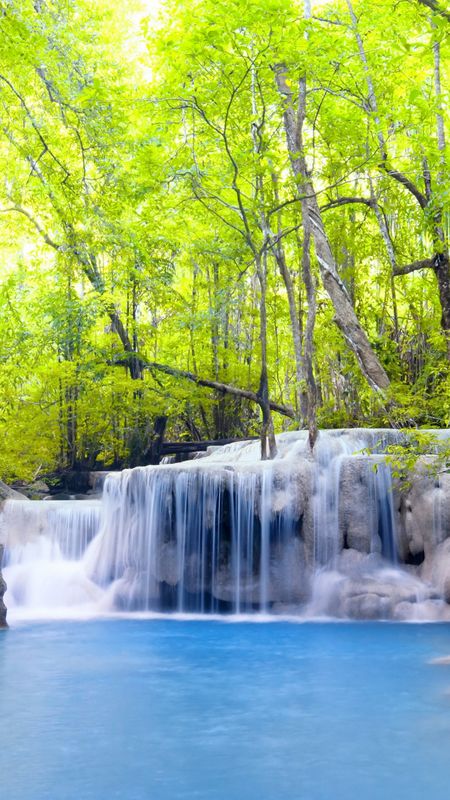 Natural Scenery In The Middle Of Forest Background, Nature, Forest,  Waterfall Background Image And Wallpaper for Free Download