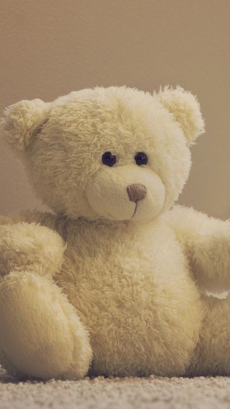 Teddy Bear Live  White Toy Wallpaper Download  MobCup