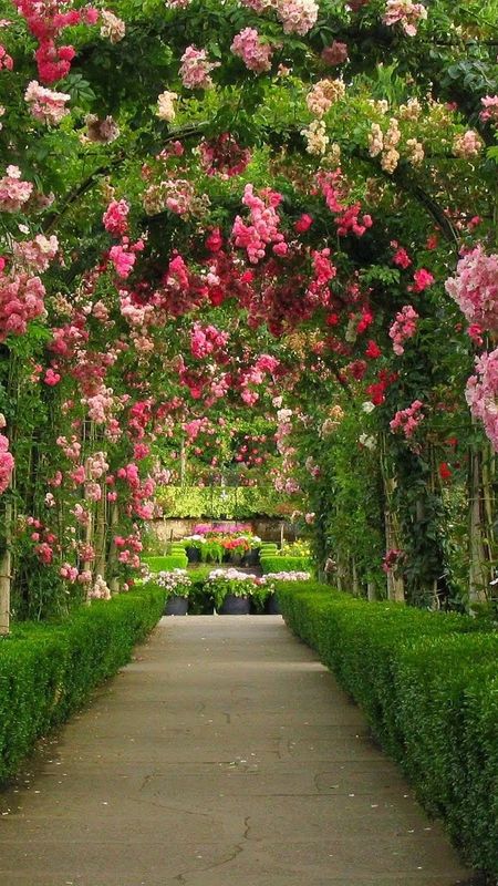 beautiful rose garden wallpapers