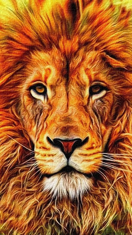 Fire Lion - Portrait - Sketch Wallpaper Download | MobCup