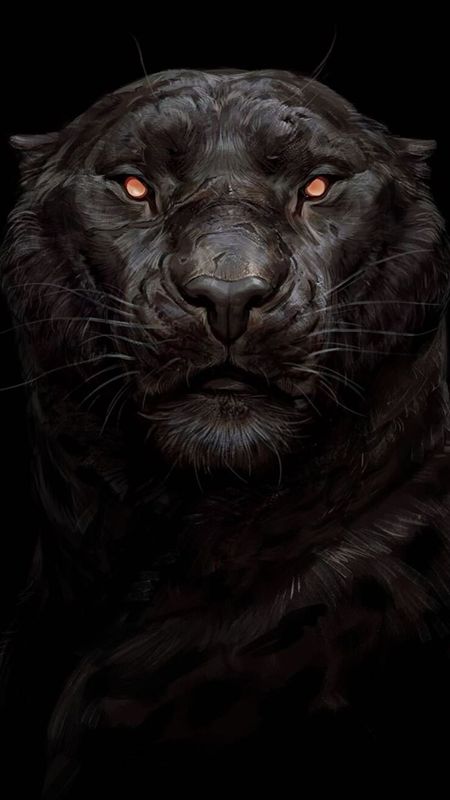 Dark Black Tiger Wallpaper Download | MobCup Dark Black Tiger Wallpaper Download | MobCup