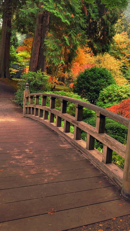 Beautiful Images For - Wooden Bridge Wallpaper Download | MobCup