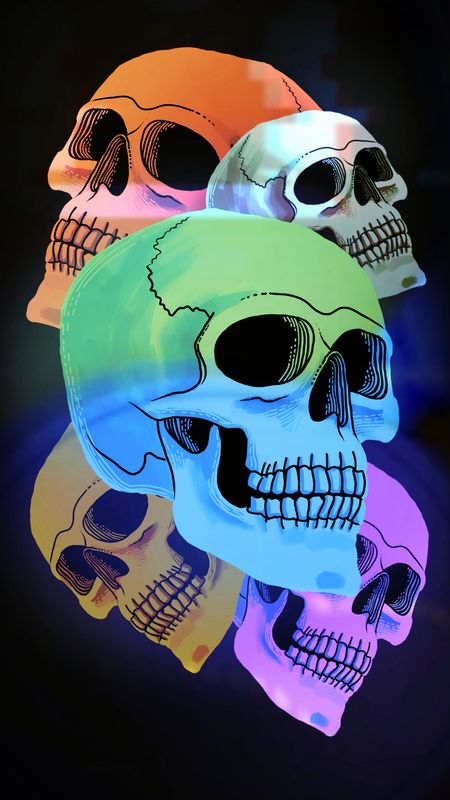 Colorful Skulls Wallpaper Download  MobCup