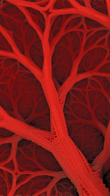 Red Branches Wallpaper Download | MobCup