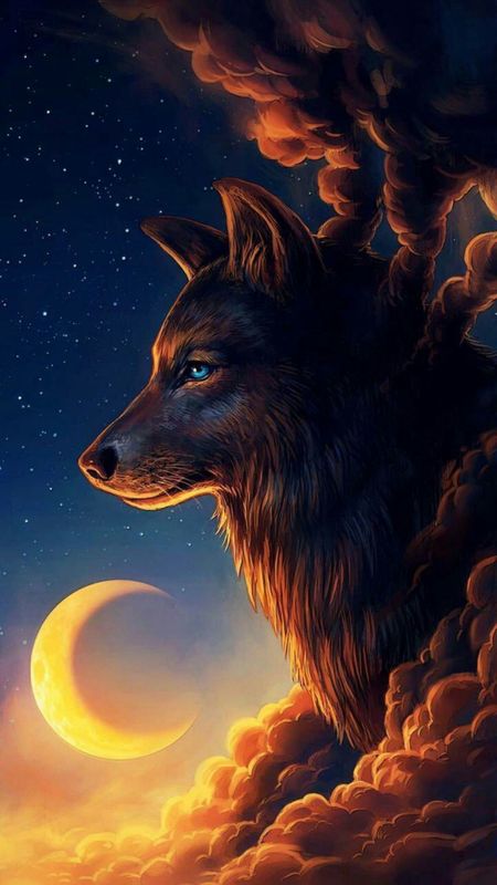 Wolf - Wild Animals Wallpaper Download | MobCup