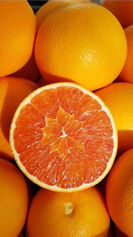 Orange Colour | Orange Wallpaper Download | MobCup Orange Colour | Orange Wallpaper Download | MobCup