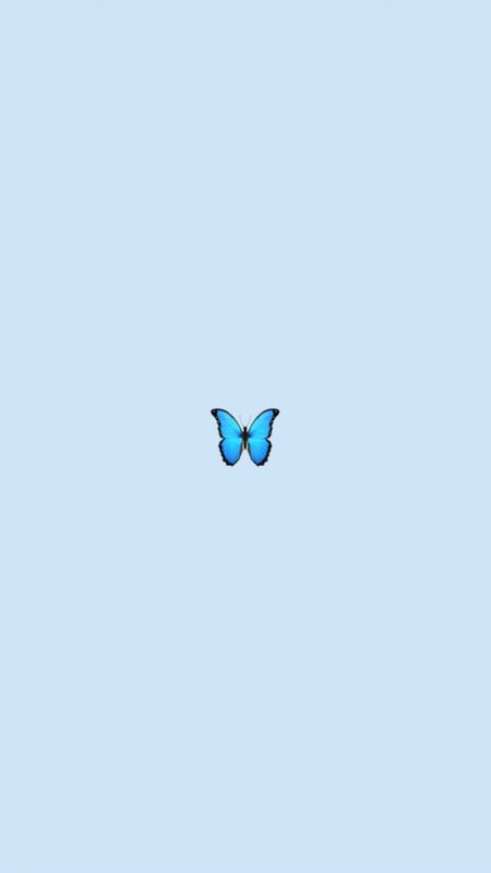 Cute Blue | Cute Blue Butterfly Wallpaper Download | MobCup