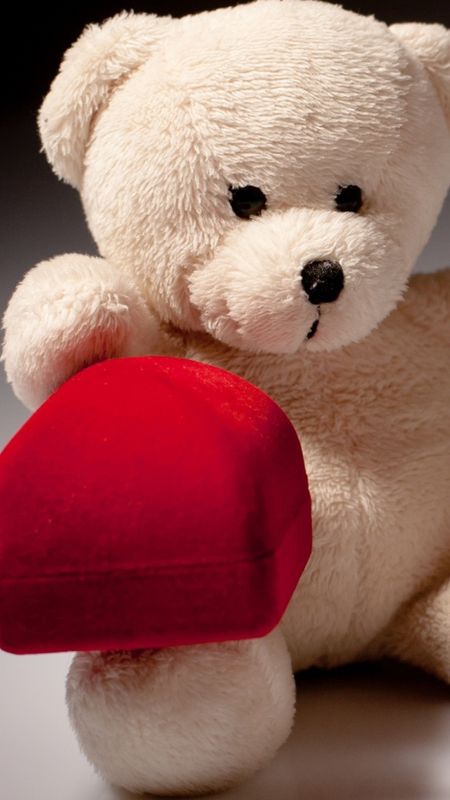 Cute Teddy - Gift - Teddy Bear Wallpaper Download | MobCup