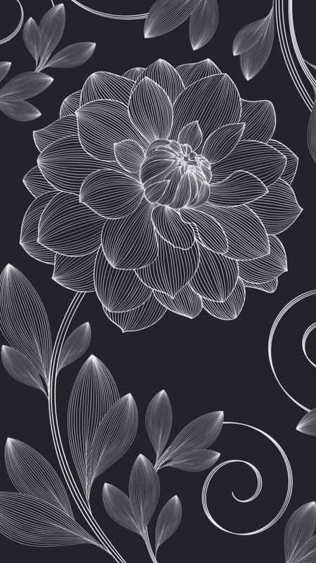Beautiful Flower HD Wallpapers