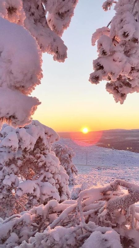 Winter Aesthetic  Sunset Wallpaper Download  MobCup