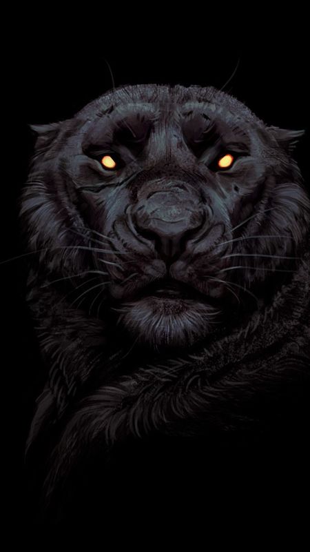 Black Tiger | Tiger Painting | Tiger Black | Golden Eye Tiger Wallpaper  Download | MobCup