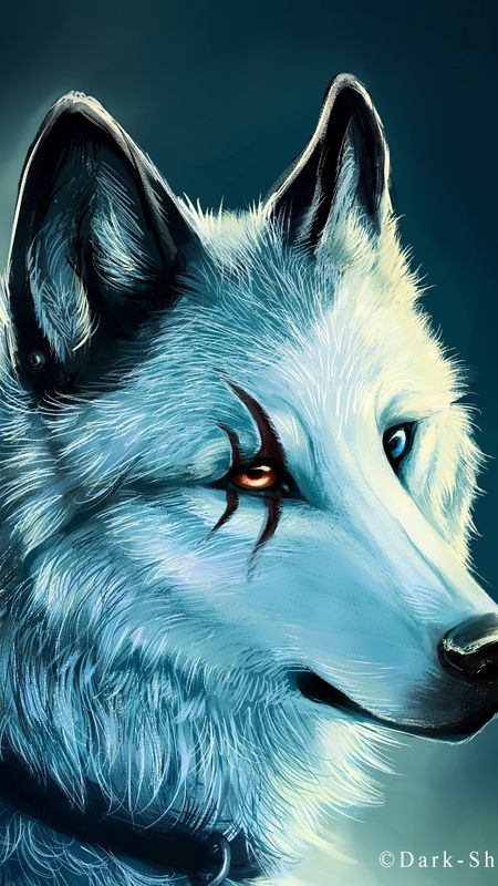 Wolf | Wolf Painting Wallpaper Download