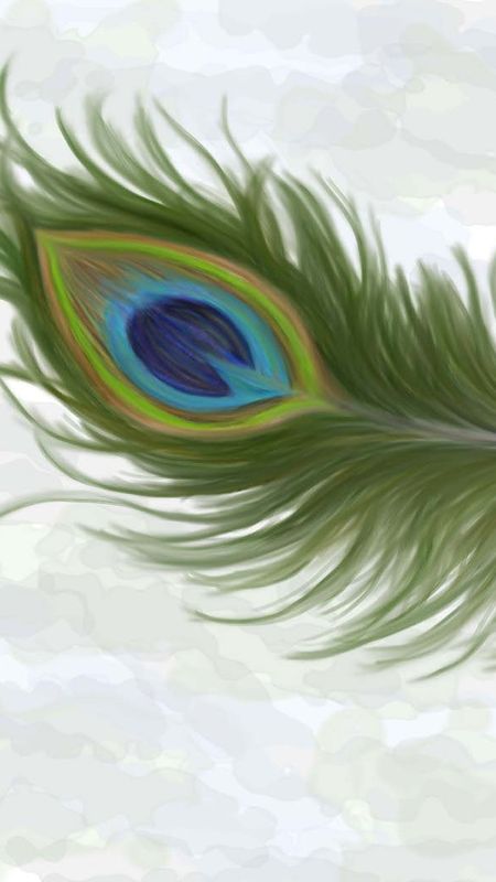 Peacock Feather - Morpankh - Art Wallpaper Download | MobCup