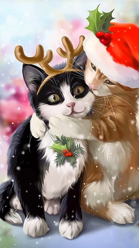 Christmas cat  Desktop Nexus Wallpapers  Funny cat wallpaper Cute cats  and dogs Christmas cats