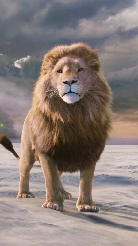 Download The Chronicles Of Narnia Aslan Art Wallpaper