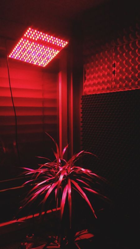 red light wallpaper