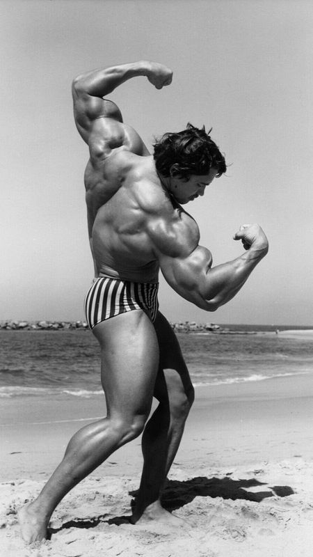 Gym - Arnold Showing Back Wallpaper Download | MobCup Gym - Arnold Showing Back Wallpaper Download | MobCup