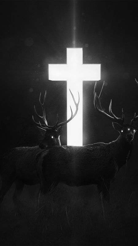 black and white deer wallpaper