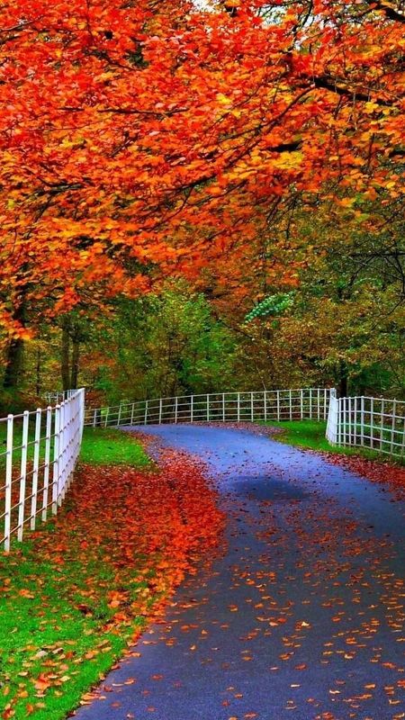 beautiful fall landscape wallpapers