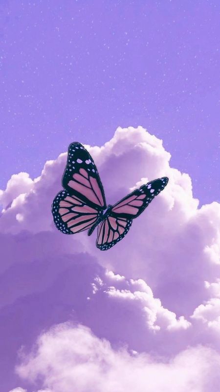 Aesthetic Cute Purple Butterfly Wallpaper Download  MobCup