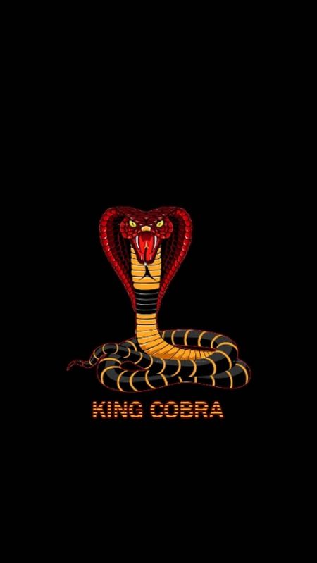 Cobra Snake - king cobra Wallpaper Download | MobCup