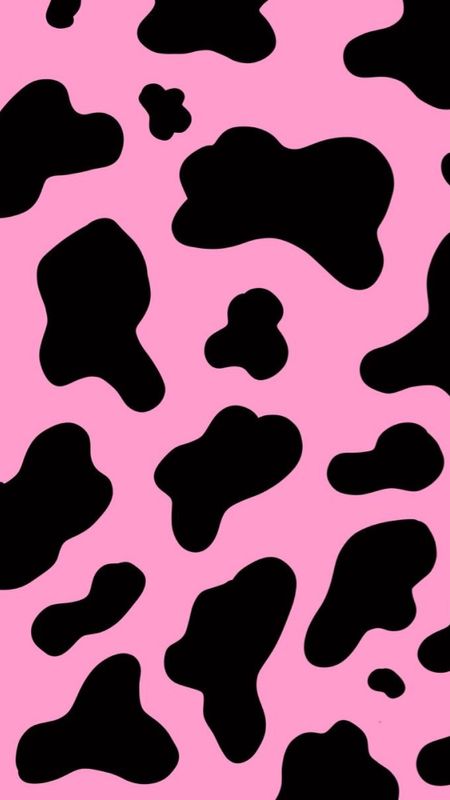 HD pink cow wallpapers  Peakpx