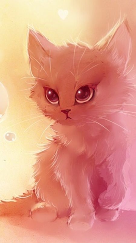 50 Cartoon Pink Cats Wallpapers  Download at WallpaperBro  Cute cat  wallpaper Cute cat drawing Iphone wallpaper cat