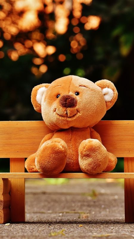 Beautiful Teddy Bear - Sitting On Bench Wallpaper Download | MobCup