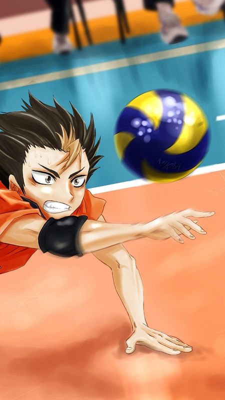 Volleyball - Anime - Sports Background Wallpaper Download | MobCup