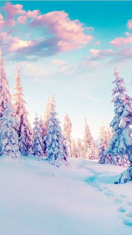 Cute Winter Wallpaper 67 pictures