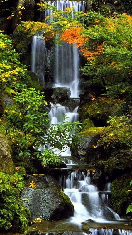Green waterfall Wallpaper Download | MobCup Green waterfall Wallpaper Download | MobCup